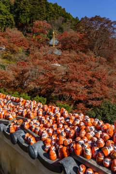 Osaka und der Minoh Park in Japan