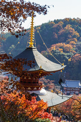 Tempelanlagen in der Nähe von Kyoto