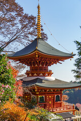Fototapeta premium Tempelanlagen in der Nähe von Kyoto