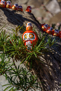 Herbstzeit in er N&auml;he von Kyoto