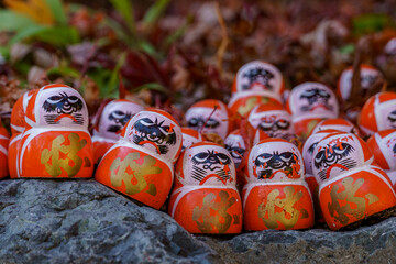 Herbstzeit in er Nähe von Kyoto