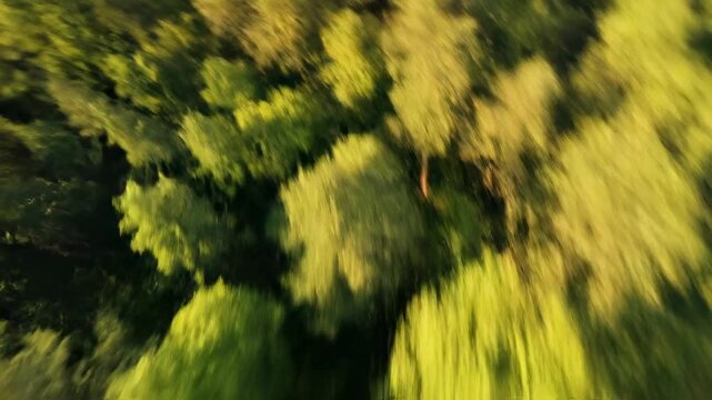 High altitude drone shot flying rapidly over a dense green temperate forest creating a stunning vertical motion blur effect transitioning to a smooth unfocused abstract texture nature, forest, travel