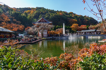 Herbstzeit in er Nähe von Kyoto