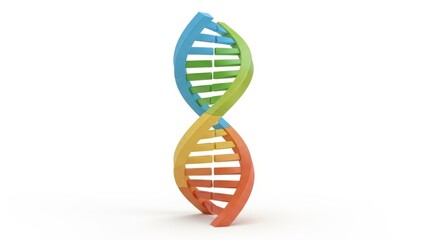 A vibrant model of a DNA double helix in blue, green, yellow, and orange against a white background.