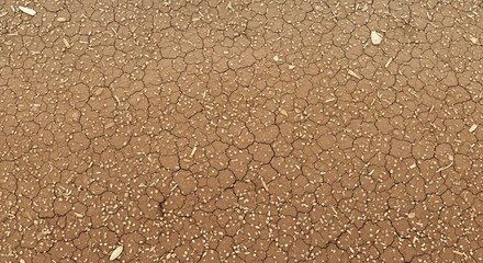 Modified softwareed dry earth texture with scattered seeds and small pebbles, showing a detailed pattern of drought-affected ground.