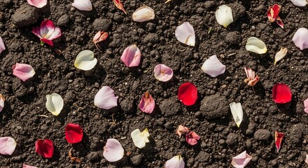 Scattered delicate rose petals in viintimate apparelnt red and soft pink hues lie on dark, rich soil, evoking a sense of natural beauty and transient moments.