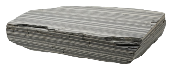 Examining unique striped slate sample geological study isolated on transparent background