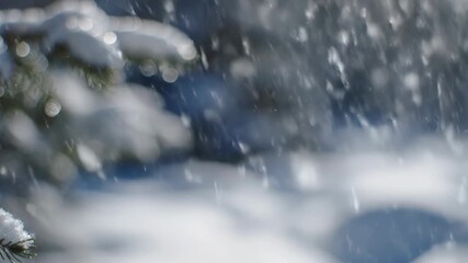 Closeup of heavy snowfall on pine tree branches with bokeh effect in the background, winter nature scene with falling snowflakes and blurred forest - Powered by Adobe