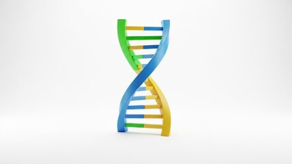 A vibrant 3D representation of a DNA helix in blue, green, and yellow against a white backdrop.