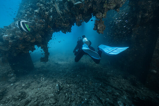 Scuba diver exploring the HTMS Chang wreck in  the gulf of Thailand