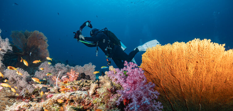 underwater photographer exploring the Similan Islands