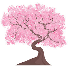 cherry blossom tree