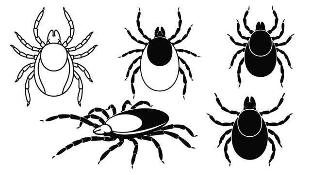 Black and white illustration depicting various species of ticks and spiders