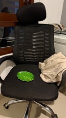 Green Leaf Plate and Cloth on Black Office Chair Seat