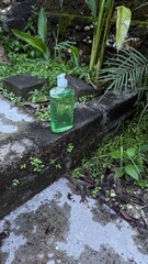 Green Liquid Soap Bottle on Concrete Ledge Amidst Lush Plants