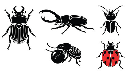 A collection of stylized insect illustrations featuring beetles and a ladybug © Nasima Bibi