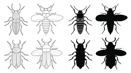 Illustrative depiction of various beetle and bee insect designs in black and white © Nasima Bibi