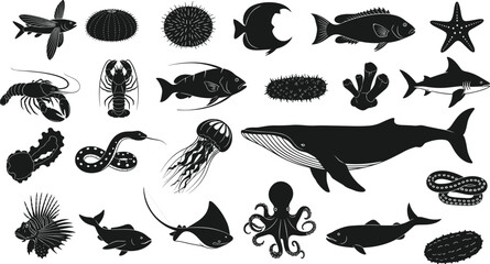 Marine life silhouettes collection featuring fish whale octopus jellyfish starfish and sea creatures isolated on white background for ocean design © Yeasrin