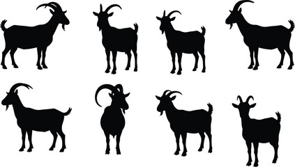 Black silhouette of goats in different poses, farm animals vector illustration, isolated on white background, wildlife, domestic animals