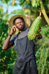 An African male farmer wearing a straw hat and apron holds a large green papaya toward the camera while talking on a mobile phone outdoors in a lush farm environment.