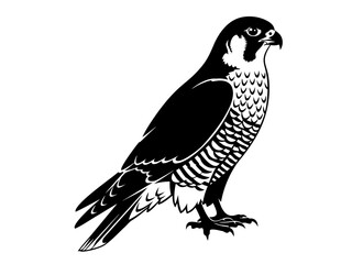 Obraz premium Detailed vector illustration of a perched falcon, showcasing its majestic form and predatory stance