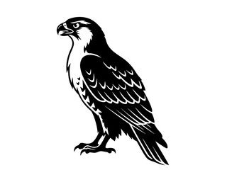 Obraz premium Majestic Raptor Bird Perched - A Detailed Vector Illustration of a Bird of Prey in Black and White
