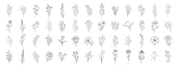 Floral botanical wildflower line icons collection, hand drawn vintage outline flowers and leaves set, elegant decorative vector illustration on transparent background © Pavlo