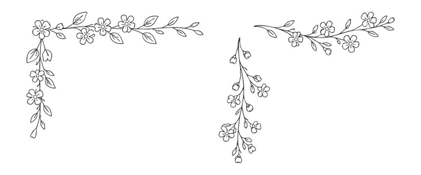 (Adobe Illustrator Artwork)