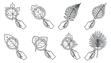 A collection of hands holding magnifying glasses examining various leaves and plants in black outline vector style, ideal for botanical illustrations and eco-themed projects