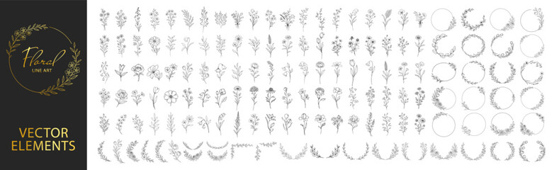 Hand drawn floral elements collection, botanical flowers leaves wreaths and circular frames, elegant vintage line art decorative set for wedding and invitation design on transparent background © Pavlo