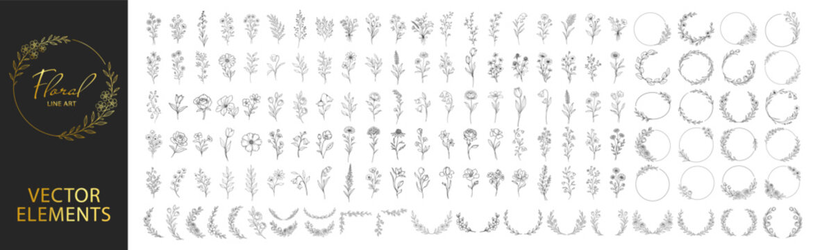 Hand drawn floral elements collection, botanical flowers leaves wreaths and circular frames, elegant vintage line art decorative set for wedding and invitation design on transparent background