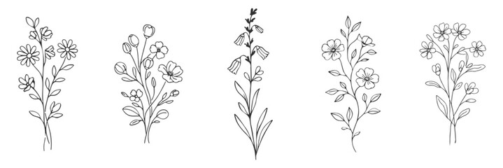 Floral wildflower branches botanical line vector illustration set, hand drawn minimal flowers and leaves, elegant rustic design on transparent background