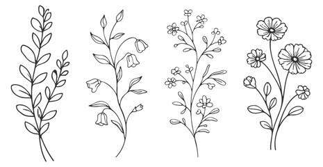 Floral botanical flower set, elegant hand drawn outline vector illustration, minimal line art wildflowers and rose collection on transparent background