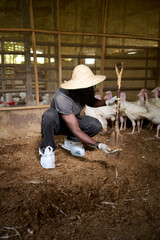 Young Nigerian male poultry farmer crouching inside an indoor turkey farm, holding soil in his gloved hand beside a shovel while wearing a straw hat and protective shoe covers as white turkeys stand b