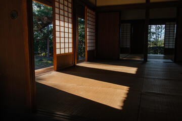 畳の影