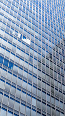 Fototapeta premium City view and building in Tokyo, Japan 2023 Oct.29