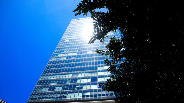 City view and building in Tokyo, Japan 2023 Oct.29