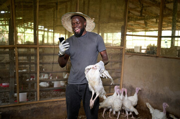 Young African male poultry farmer smiling while looking at a mobile phone and holding a white turkey inside an indoor farm, wearing gloves, a straw hat, and casual work clothes with turkeys in the bac