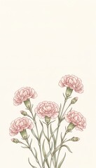 Pink carnations with green stems on soft neutral background  