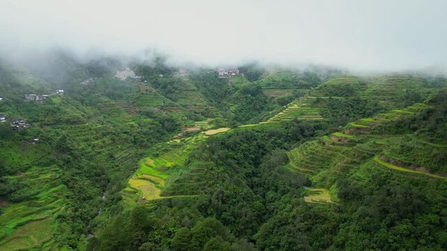 Gliding forward aerial shot toward the lush Banaue Rice Terraces in Ifugao, Philippines, with low-hanging clouds veiling the green mountain peaks.