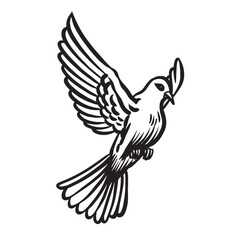 bird vintage hand drawing