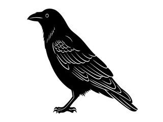 Fototapeta premium Silhouetted Black Crow Perched and Looking to the Side on a White Background, Vector Illustration