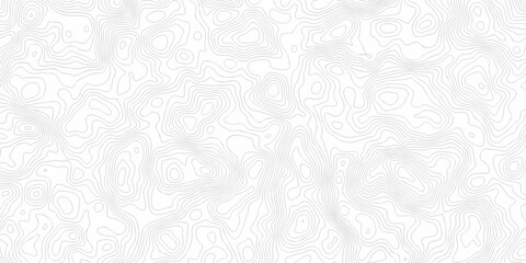 White wave paper curved reliefs abstract background. The topographic map contour in lines isolated. Abstract white topographic map background with lines. Background of the topography map.