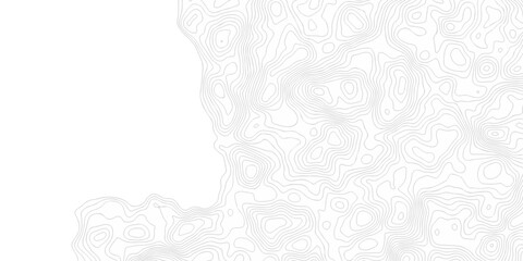White wave paper curved reliefs abstract background. The topographic map contour in lines isolated. Abstract white topographic map background with lines. Background of the topography map.