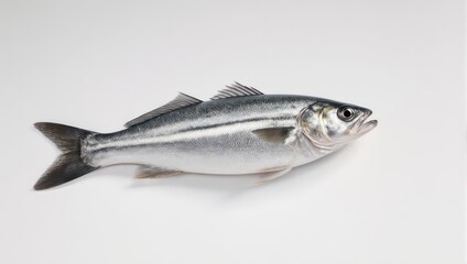 Naklejka premium Freshly caught silver fish on a white background, ready to cook.