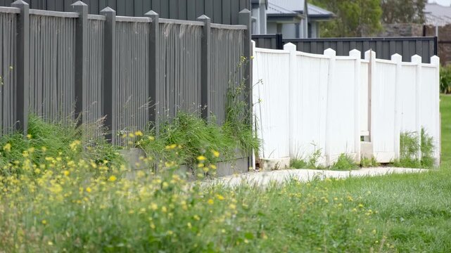 An overgrown nature strip and residential yard boundary where tall weeds and unmanaged grass spread along the footpath and fence line. Overgrown vegetation and verge maintenance in Australia