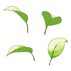 Vector leaves with soft green hues and stylish gradient transitions