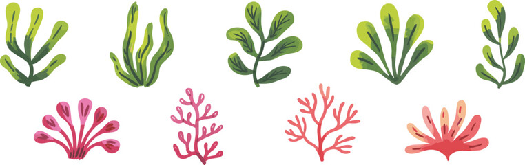 Seaweed and aquatic plant collection, stylized marine botanical vector illustration, underwater foliage design elements for ocean-themed, nature-inspired creative stock content