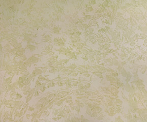Close up of green and beige decorative washed paint, suitable for wall finishes. Seamless background texture.