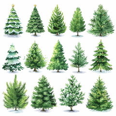 Set of Watercolor Christmas Trees Vector Illustration